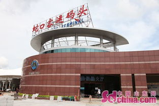 深圳蛇口客运码头 港澳非国内 标识用词不严谨