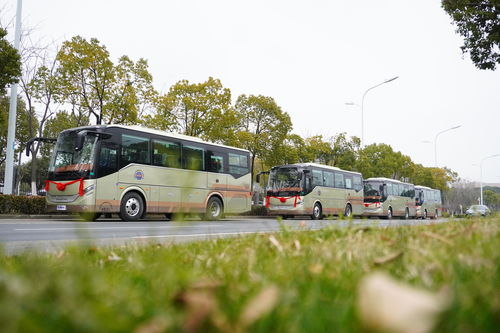 旅游大巴春日发车 客运中心启程迎客流高峰